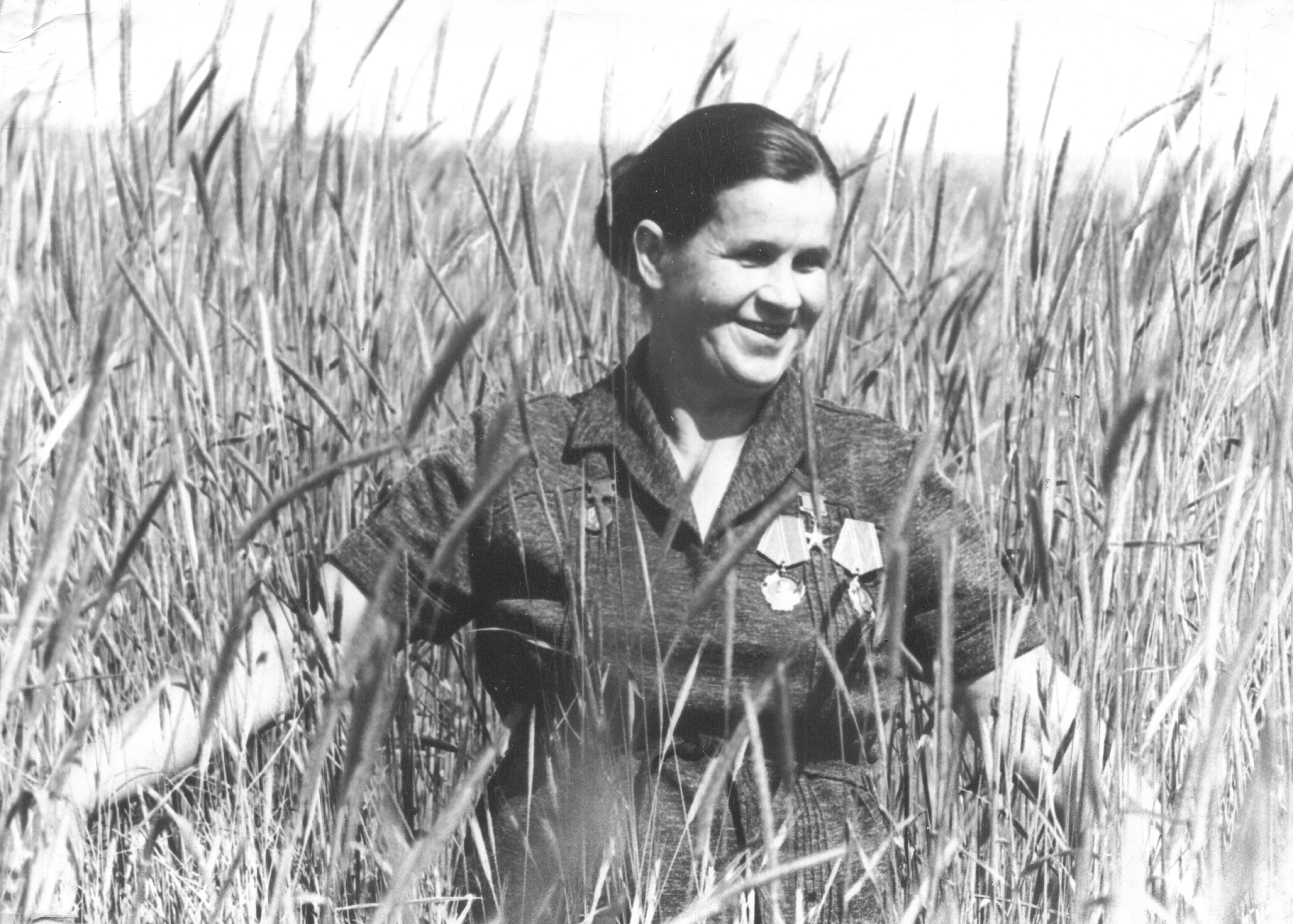 К 85-летию Ростовской области