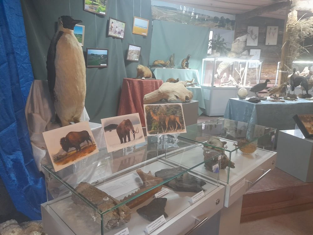 «От пингвина до хорька»