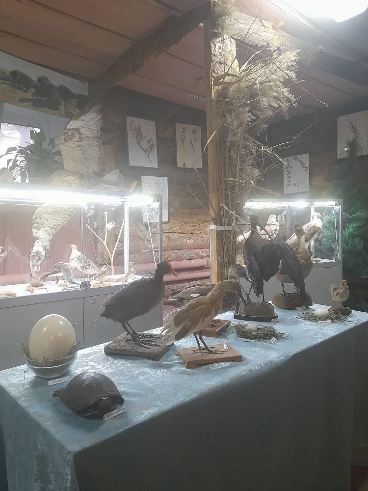 "От пингвина до хорька"