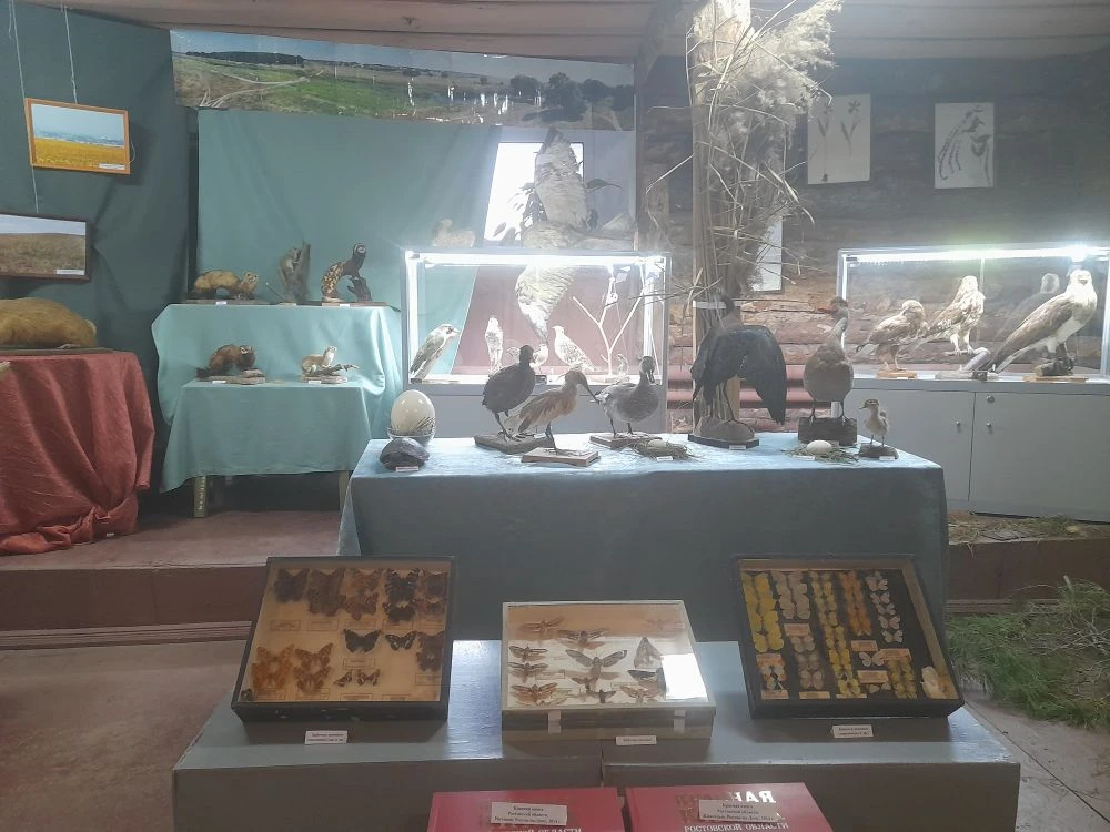 «От пингвина до хорька»