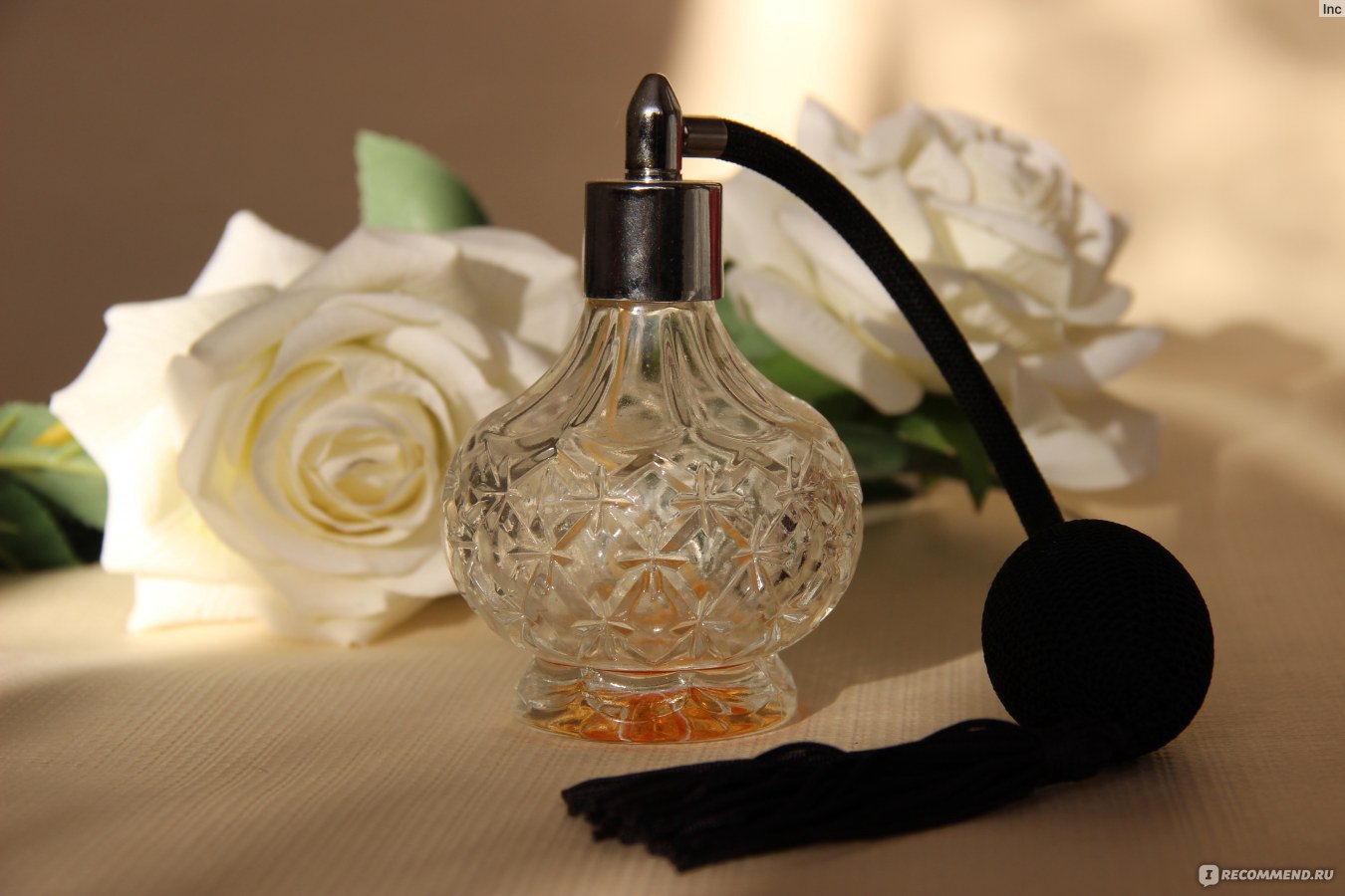 Uy4GexbordNlGyesKuwdbw.jpg Uy4GexbordNlGyesKuwdbw.jpg