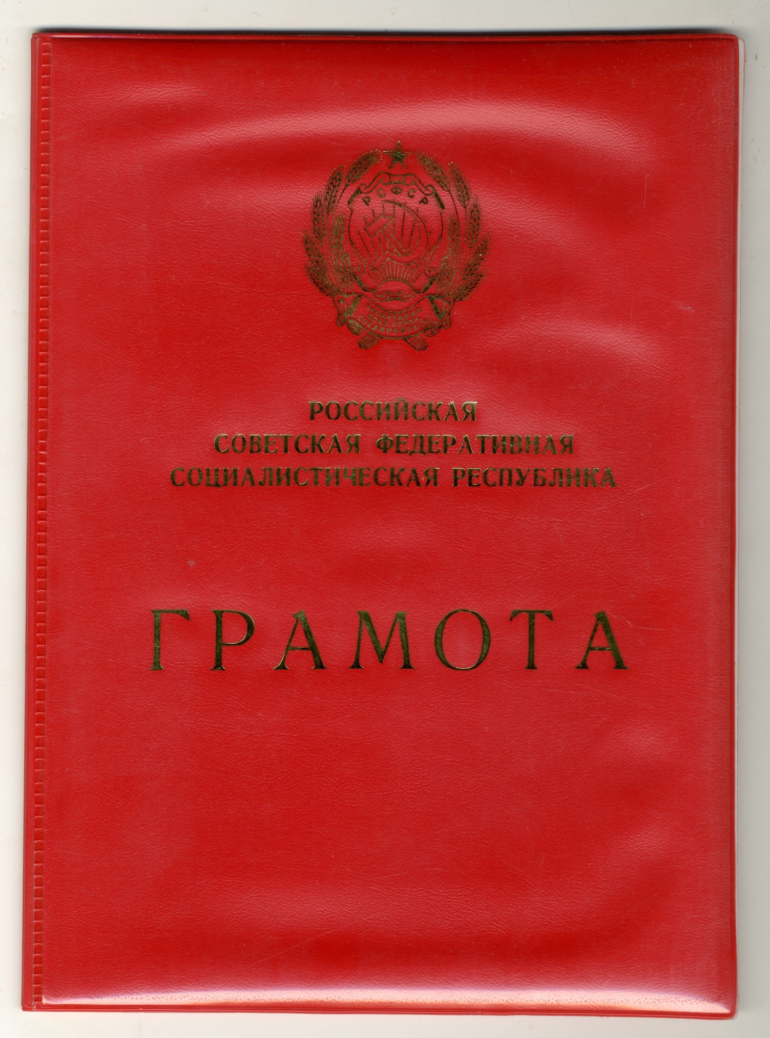 Грамота заслуженному наставнику молодежи РСФСР Горожаевой Р.Ф. 1982 Грамота заслуженному наставнику молодежи РСФСР Горожаевой Р.Ф. 1982